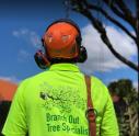 Branch Out Tree Specialists logo